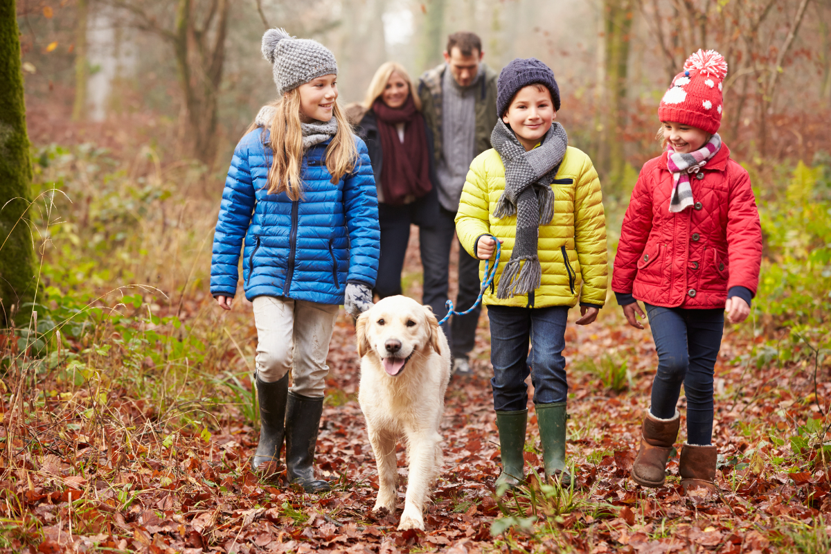 Three white children and a light golden retriever walk in the orange, autumnal leaves. All the children are wearing different, contrasting, primary colour coats and look very happy.