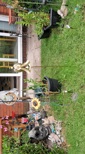 view-images
