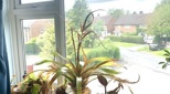 view-images